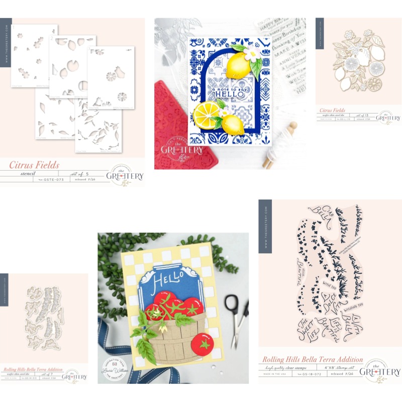 Clear Silicone Stamps For Card Making - Checks Out Citrus Fields Clear Silicone